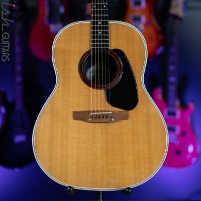 Applause AE14-4 Natural | Reverb