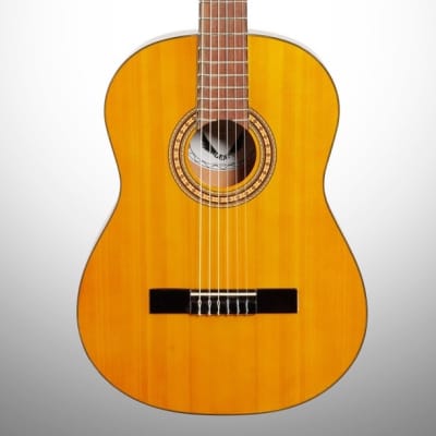 Dean Classical Acoustic Guitar Package for sale