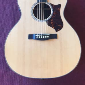 Martin GPCPA 1 Plus Performing Artist 2008 Spruce/Rosewood image 2