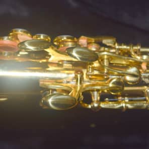 RS Berkeley SOCUR445 Artist Series Curved Soprano Saxophone Reverb