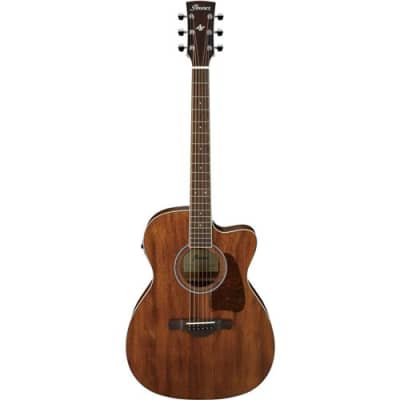 Ibanez AEW21VK-NT1201 Natural Acoustic/Electric Guitar Ovangkol | Reverb