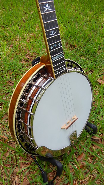 Stelling bellflower store banjo for sale