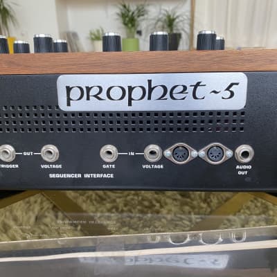 Sequential Circuits Prophet 5 Rev 3.3 Refurbished! image 8