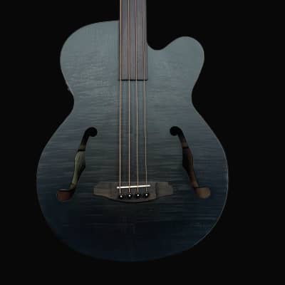 ARIA FEB-F2 / FL STBK (Stained Black) Fretless Electro Acoustic Guitar image 1