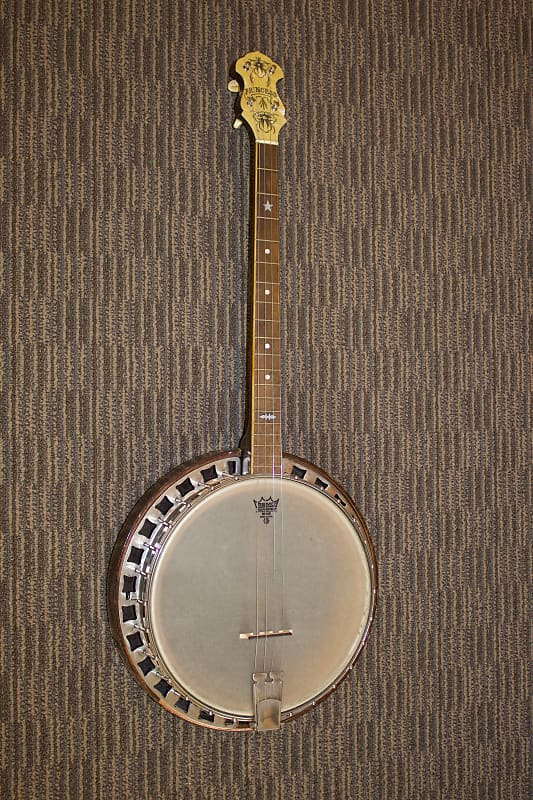 Princess Tenor Banjo c. 1925-30 (Slingerland?) | Reverb