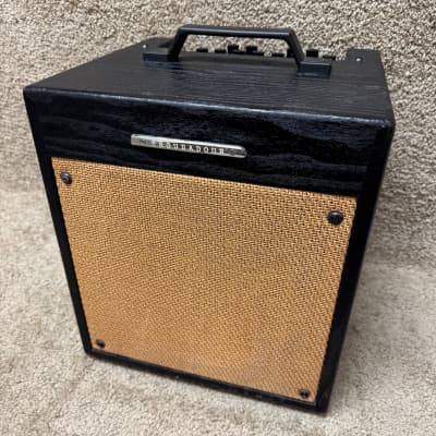 その他 troubadour Ibanez Troubadour T80N 80W Acoustic Combo Amp - What To Know