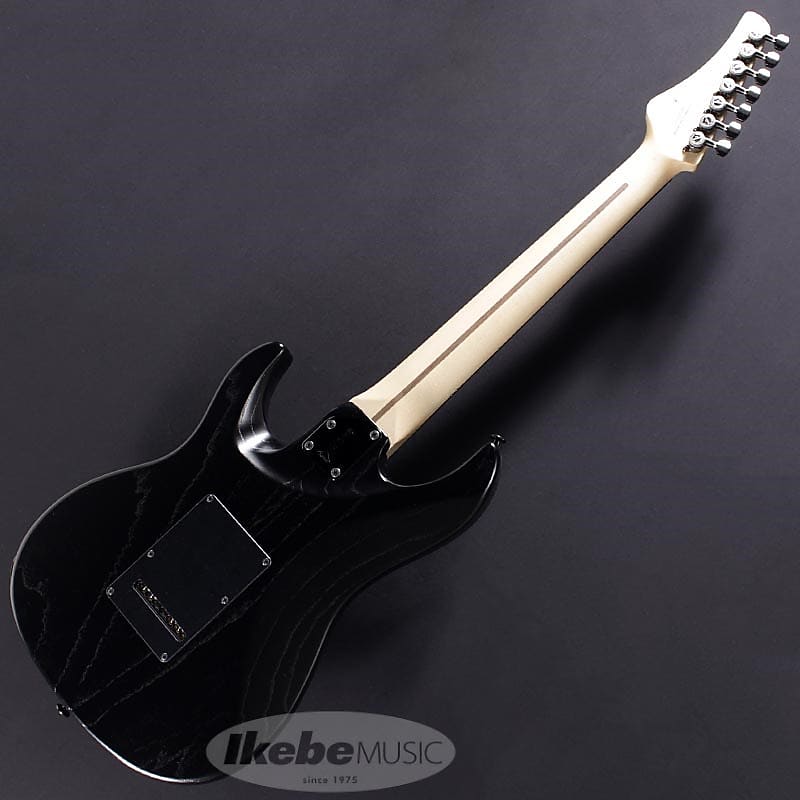 FUJIGEN EXPERT OS EOS7-ASH-DE-R (Open Pore Black) -Made in Japan