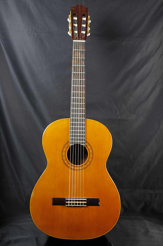 NMI G205 Nashville Musical Instrument Nylon String Classical Reverb