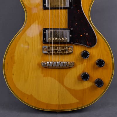 Ibanez PF200 Performer | Reverb
