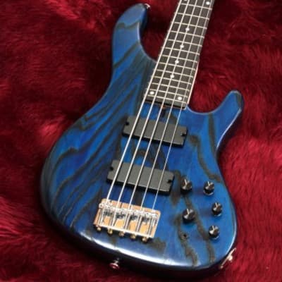 Bacchus TF5-STD ASH BLU/OIL-MH | Reverb