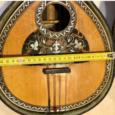 Bruno Klemm. Mandolina. Year 1890 Mandolin. image 10