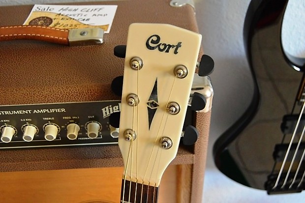Cort SFX1F-AW with Fishman Electronics & gigbag 2013 Arctic