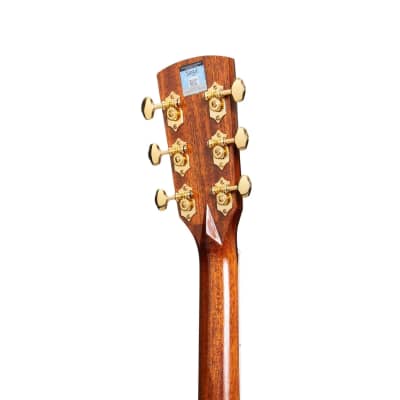 Saga SL55 All-Solid Spruce Top Mahogany Back & Sides Acoustic-Electric Dreadnought Guitar | Natural Gloss image 8