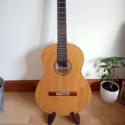 Hofner 1967 classical guitar image 1