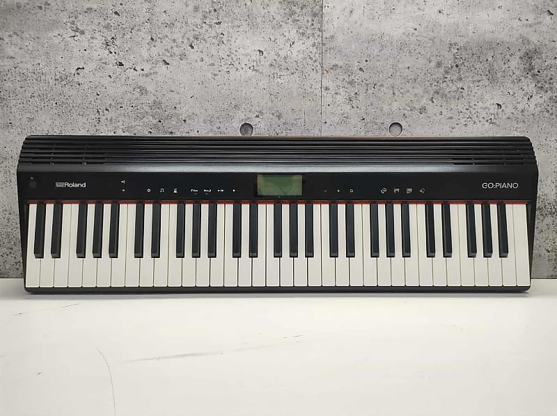 Roland GO-61P GO:PIANO 61-Key Digital Piano | Reverb Canada