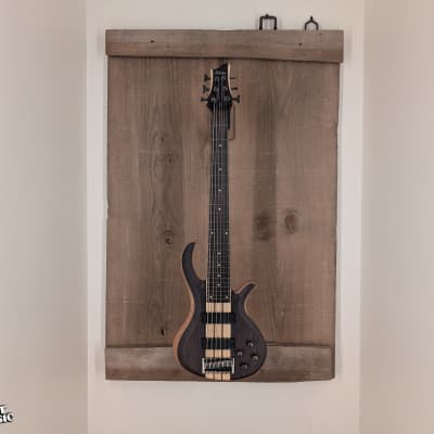 Schecter Diamond Riot-6 6-String Electric Bass w/ EMG-45HZ & Hard Case Used image 2