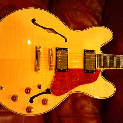 KARERA 335-Style Semi-Hollow Body Electric Guitar *BEAUTIFUL with WARM-TONE & *FREE Hard-Shell Case!!! image 4