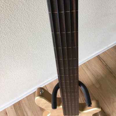 Rob Allen   MB-2 5 string Fretless Bass image 4
