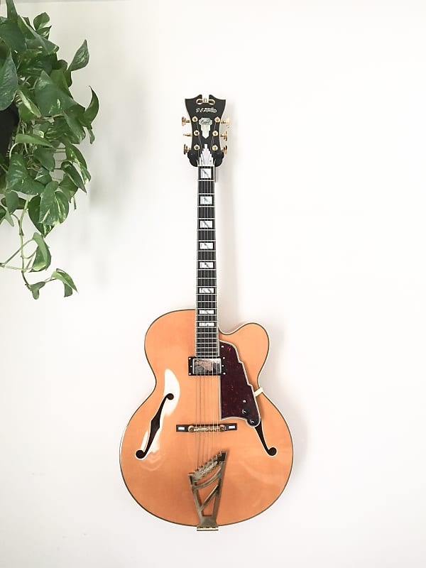 D'Angelico Excel EXL-1 Hollow Body Archtop image 12