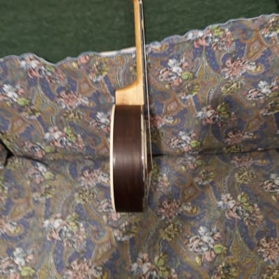 Banjo Ukulele tenore  APC  UKU T BJ300 PSI image 3