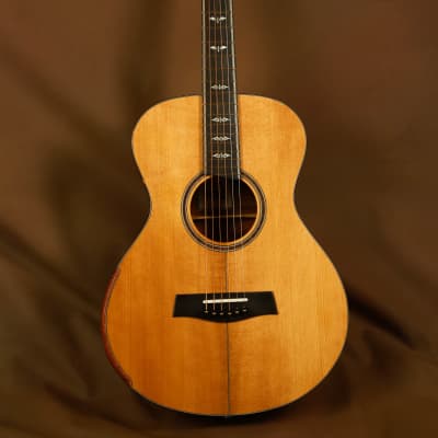 Harvey Leach Custom Homestead "The Tree" Mahogany Acoustic Guitar image 6