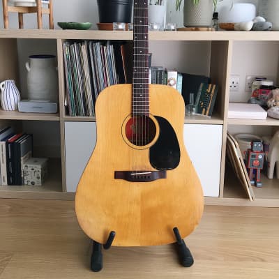 Norman / Godin B20 | Acoustic guitar | 70's Made in Canada