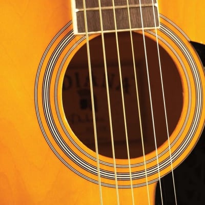 Indiana IDA-TB Dakota 39 Series Concert Shape Spruce Top Mahogany Back/Side 6-String Acoustic Guitar image 4