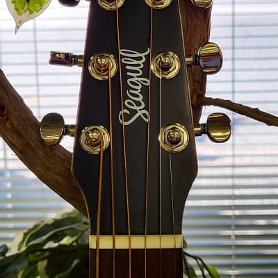 Seagull S6 Classic A/E 2020 - Present - Black image 3