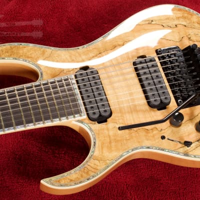 B.C. Rich Shredzilla 8 Prophecy Exotic Archtop with Floyd Rose Left Handed Spalted Maple SZA824FRSML image 6