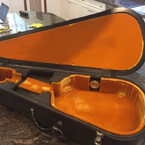 Mark leaf clearance guitar case