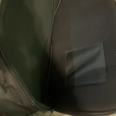 Parker guitars Gig bag LATER VERSION image 5