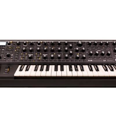 Moog Subsequent 37 Analog Synth | Reverb