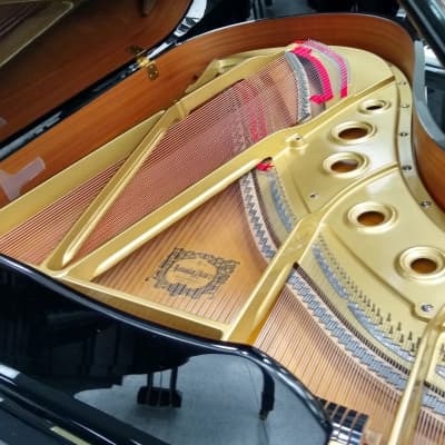 Yamaha C5 Grand Piano 6’7 Black Polish image 4