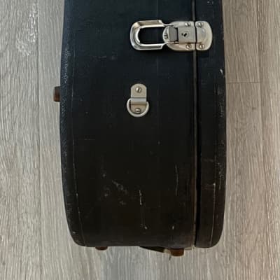 Mark Leaf Banjo Case マークリーフバンジョーケース Mark Leaf Banjo case | Reverb