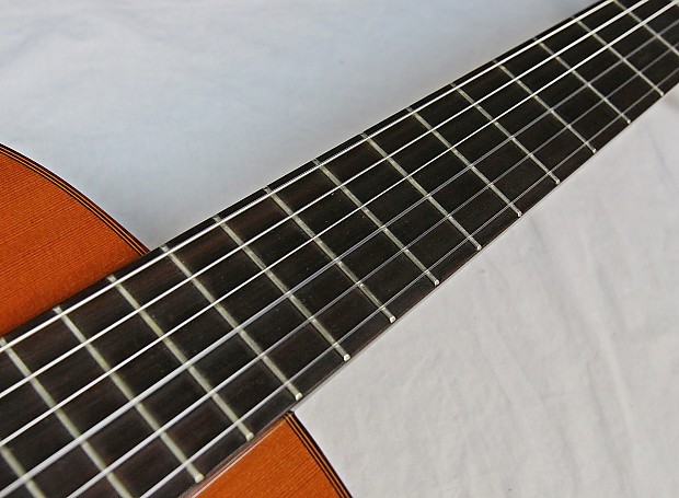 1985 Asturias AST-50 Classical Acoustic Guitar, w/HSC | Reverb