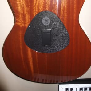 Taylor T5  Flamed Maple image 8