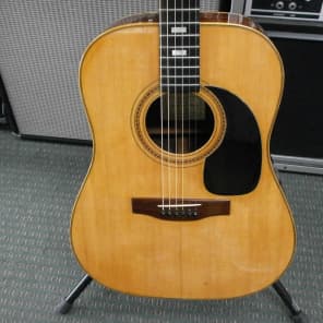Very Rare Augustino LoPrinzi Les Parsons D-1 Acoustic Guitar image 2