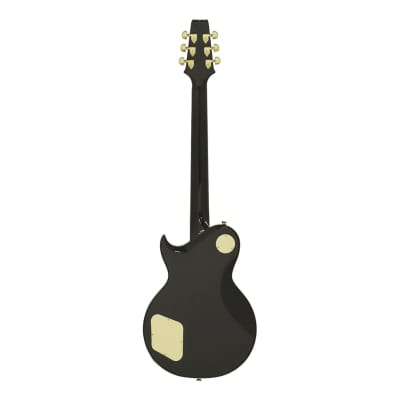 Aria Pro II PE-350PF PE Series Electric Guitar - Tribute Aged Black image 6