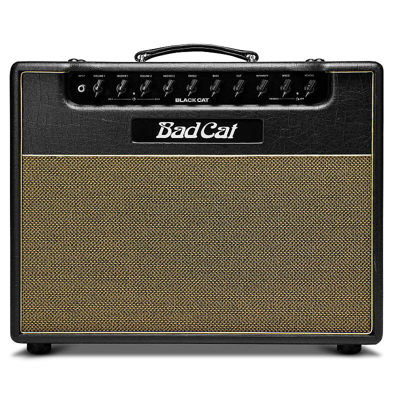 Bad Cat Black Cat Handwired Series 2-Channel 20-Watt 1x12