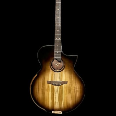 Riversong Supra Jumbo G2 Acoustic Guitar for sale