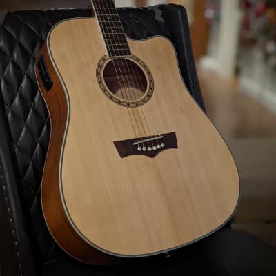 Peavey Delta Woods DW2CE Acoustic Electric Guitar for sale