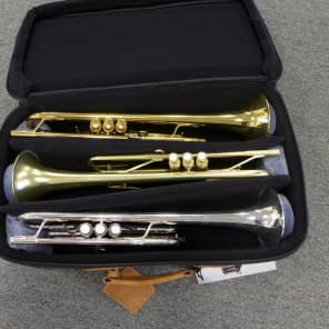 Gard Elite Compact Triple Case Reverb Deutschland
