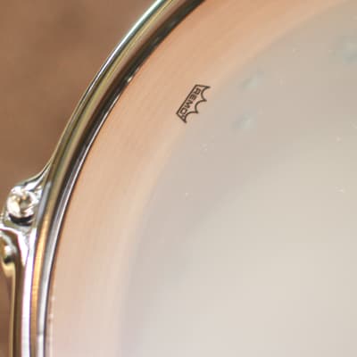 DW 5.5x14 Collector's Maple Solid Double Cream Super Solid Snare Drum - SO#1288929 image 6