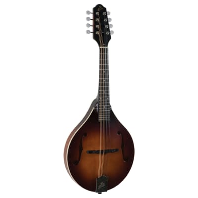 The Loar LM-110-BRB | Honey Creek A-Style Mandolin. Brand New! image 12