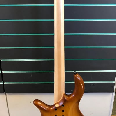 Elrick Standard Series E-volution Satin Honeyburst 4 String Electric Bass image 8