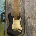 Fender American Professional  Sweetwater Exclusive