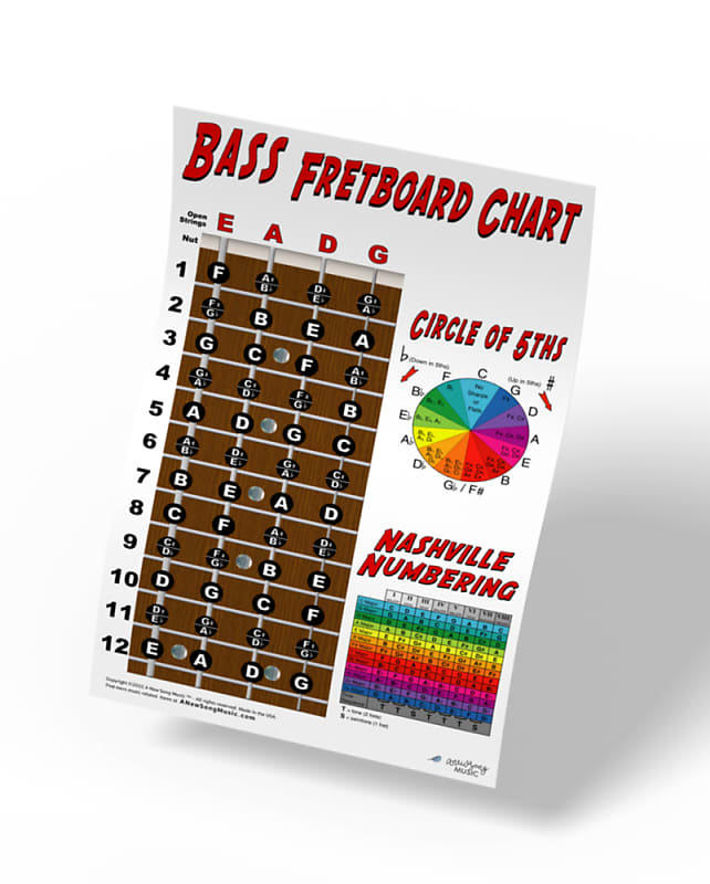 4 String Bass Fretboard Instructional Chart Poster Nashville Numbering Theory 11x17 Beginner Easy image 1