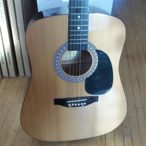 Burswood guitar signed by esteban on sale