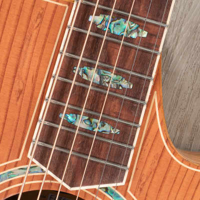 Cole Clark FL3EC-RDBL-AE FL Dreadnought 3 Acoustic-Electric Guitar, Redwood Top image 8