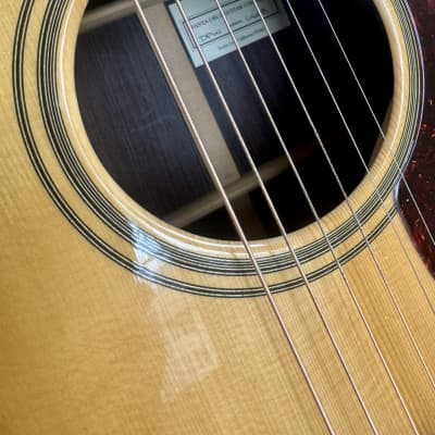 Santa Cruz Model D-PW Custom Cocobolo image 10